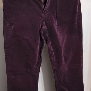 Women's Purple Velvet Skinny Jeans, 6R